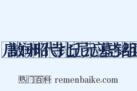 唐故润州昭代寺比丘尼元应墓志铭组词是什么意思的图片